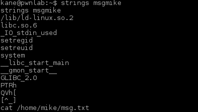 pwnlabinit-shell-strings-msgmike